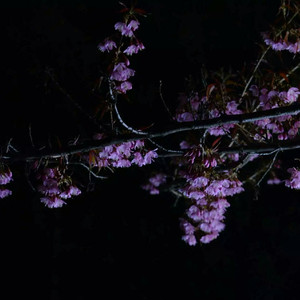 真人美女裸体㊙️无遮挡
